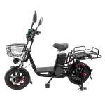 163.0 vacuum tires, red rim wheels, beach tires, Yilan Princess II rear dual shock absorption lithium battery electric bicycle
